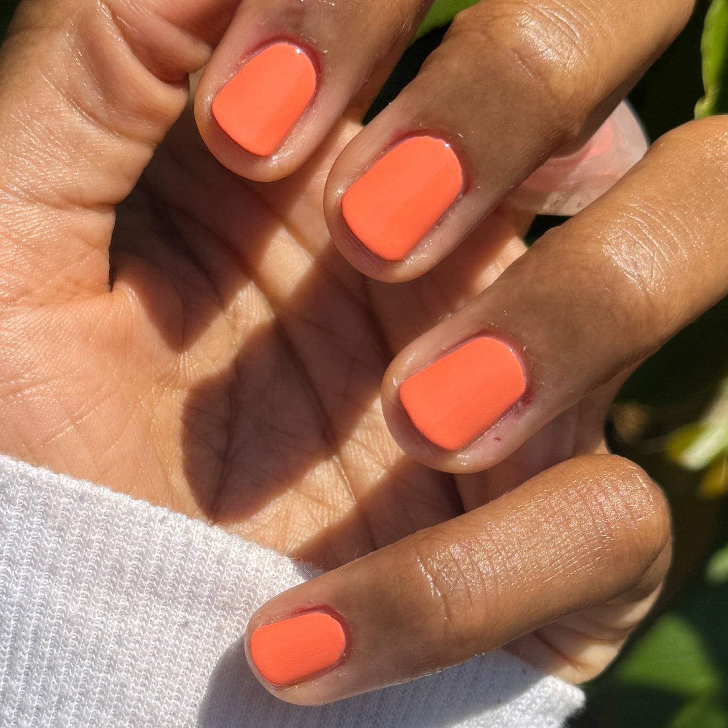 Hot Girl Summer Exclusive Color Kit