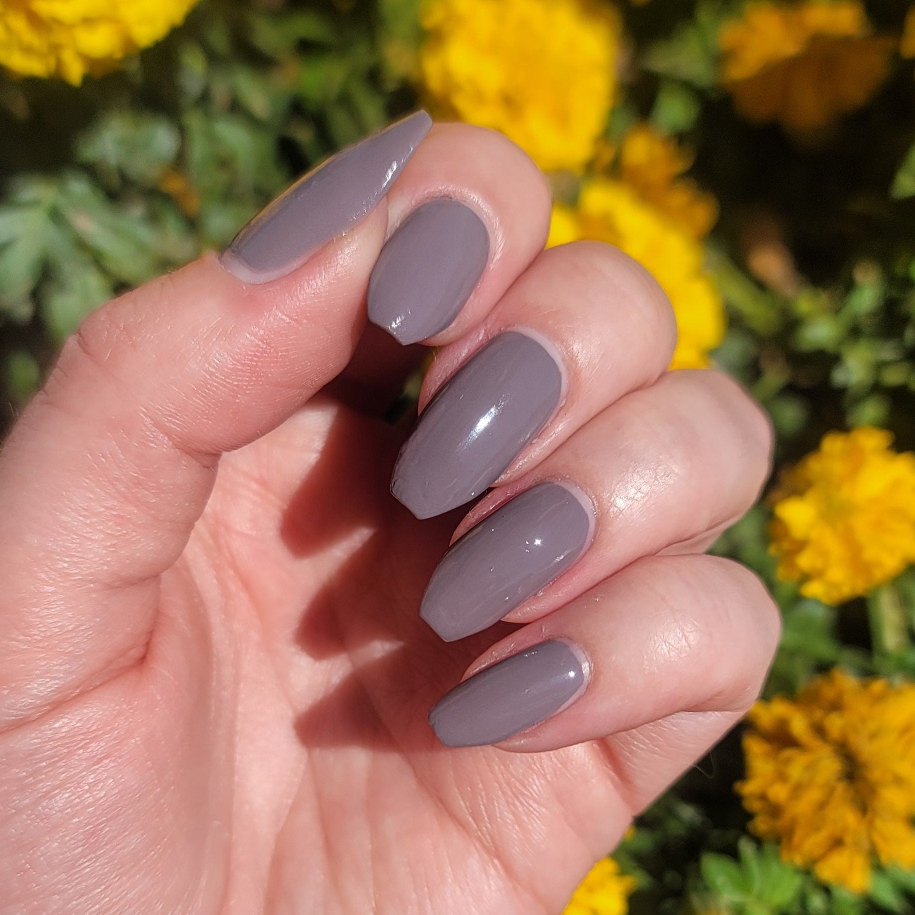 Longwear Nail Polish - Charmed